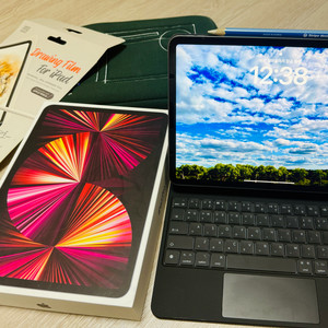 iPad Pro 11 ( m1) 256+애플펜슬2세대