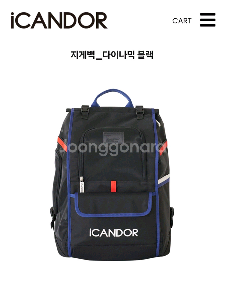 아이캔도르 이동가방 L사이즈(새상품)--0
