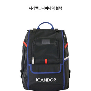아이캔도르 이동가방 L사이즈(새상품)