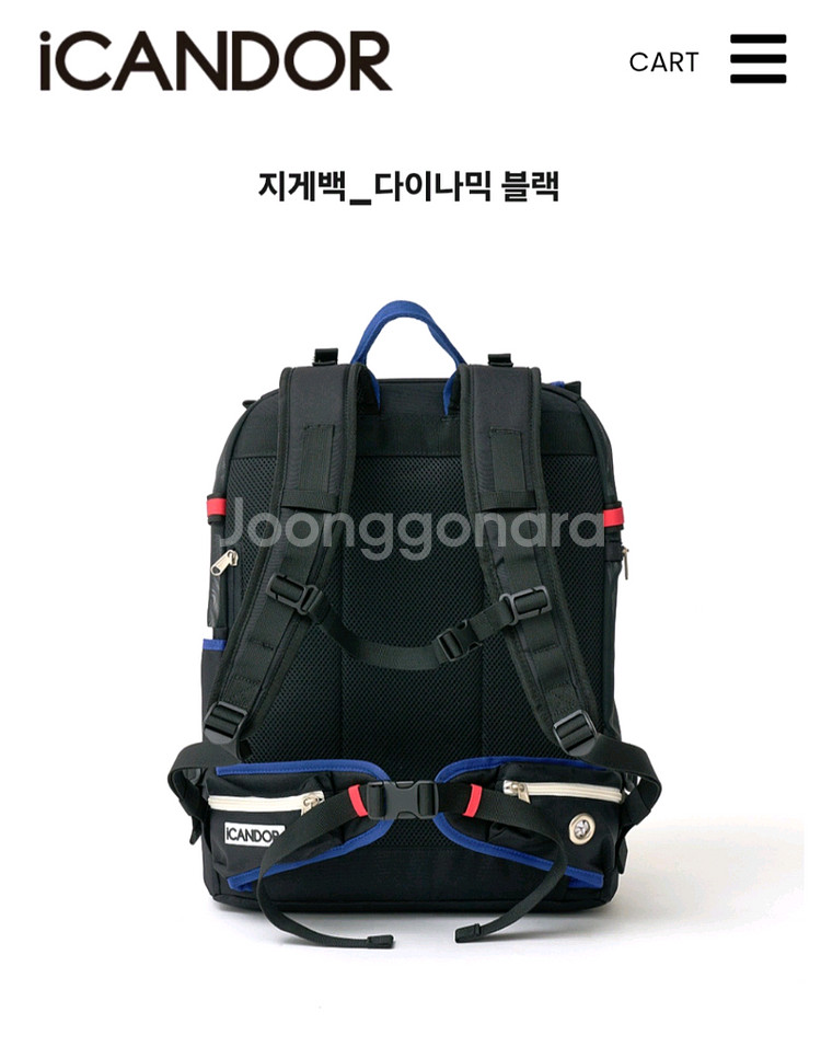 아이캔도르 이동가방 L사이즈(새상품)--2