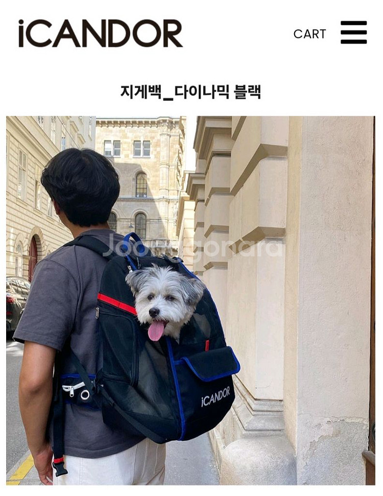 아이캔도르 이동가방 L사이즈(새상품)--4