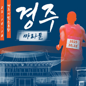 경주마라톤 풀코스 남자L 양도합니다