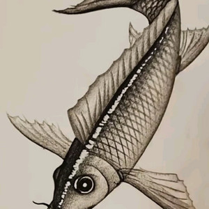 물고기 그림 팝니다