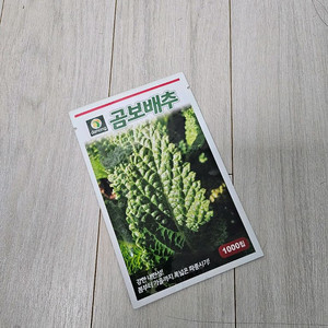 곰보 배추 (새상품)