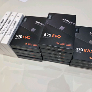 삼성 870 EVO SSD (500GB/1TB) 미개봉