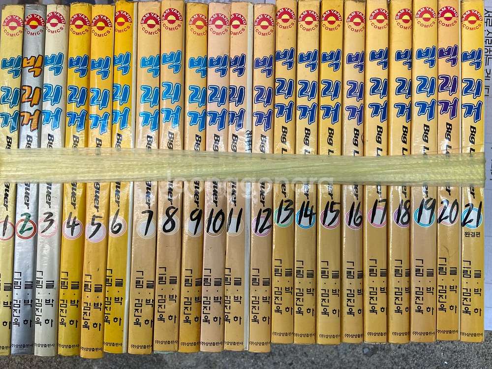 만화 정리 1/죽지않는꿈, 진월담월희, 마린블루 등--8