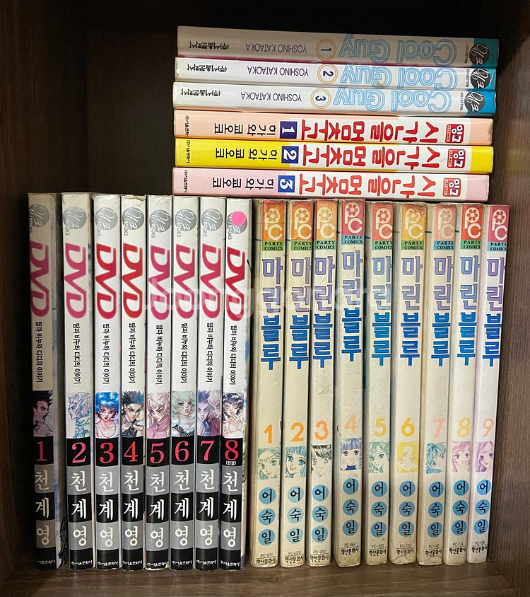 만화 정리 1/죽지않는꿈, 진월담월희, 마린블루 등--9