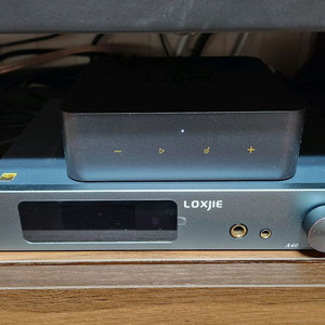 Loxjie a40(예약), wiim pro plus