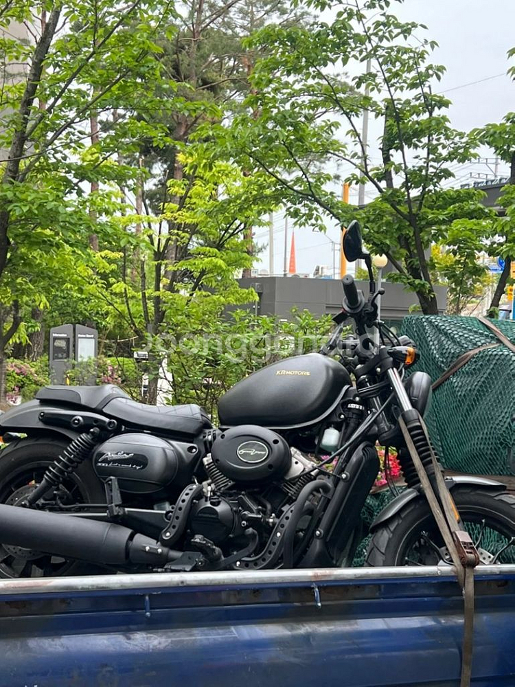 KR모터스 아퀼라 300S 23년식--0