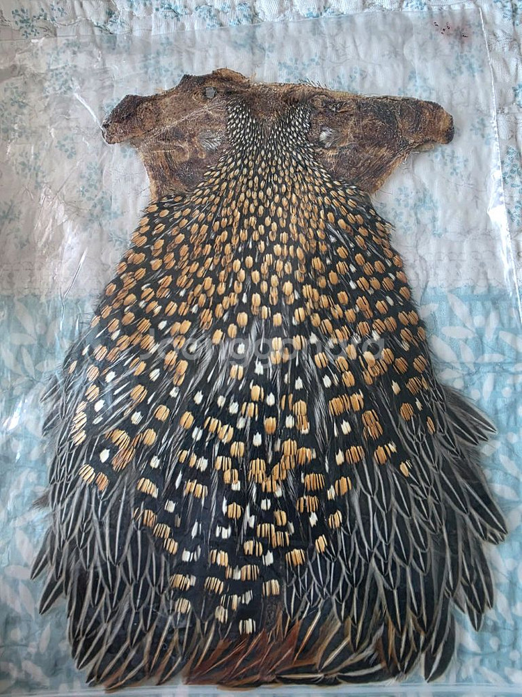 타잉재료 정글콕--0