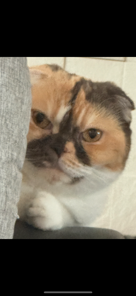 profile-image