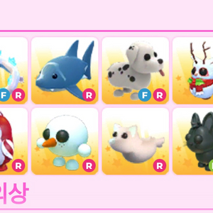 입양하세요 펫 판매