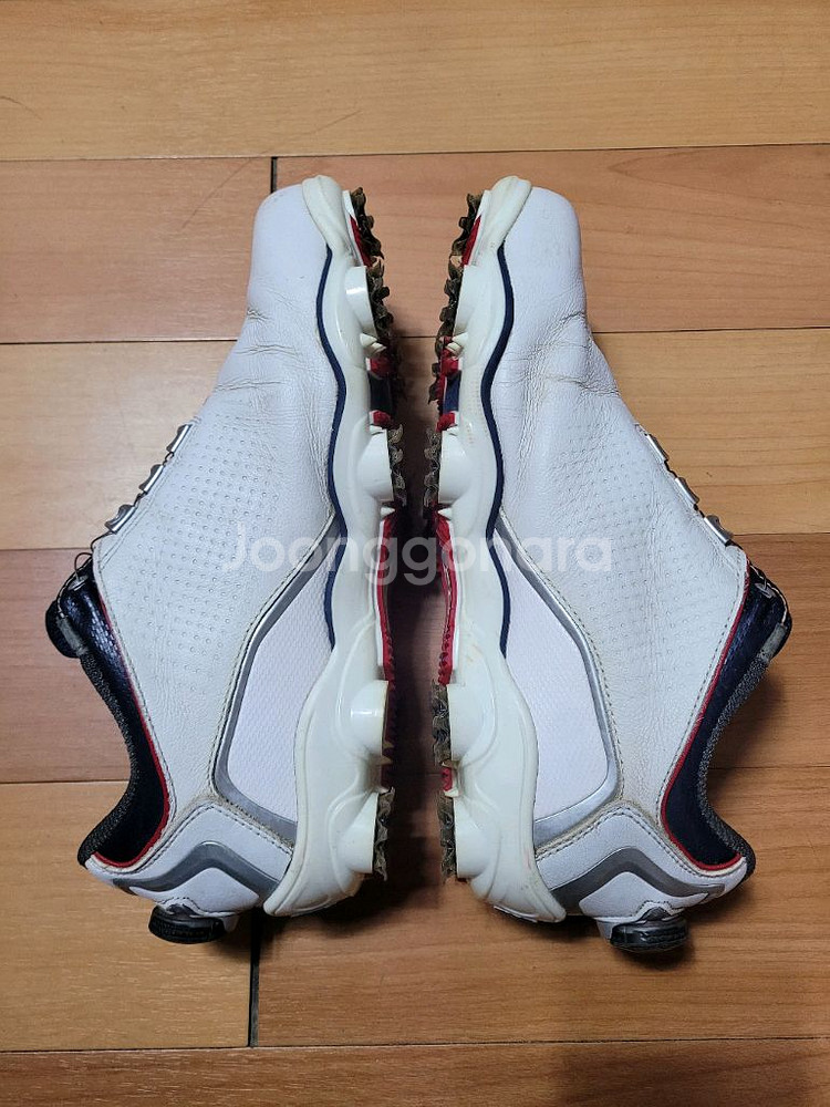 풋조이 DNA BOA 남성 골프화(250~255mm)--5