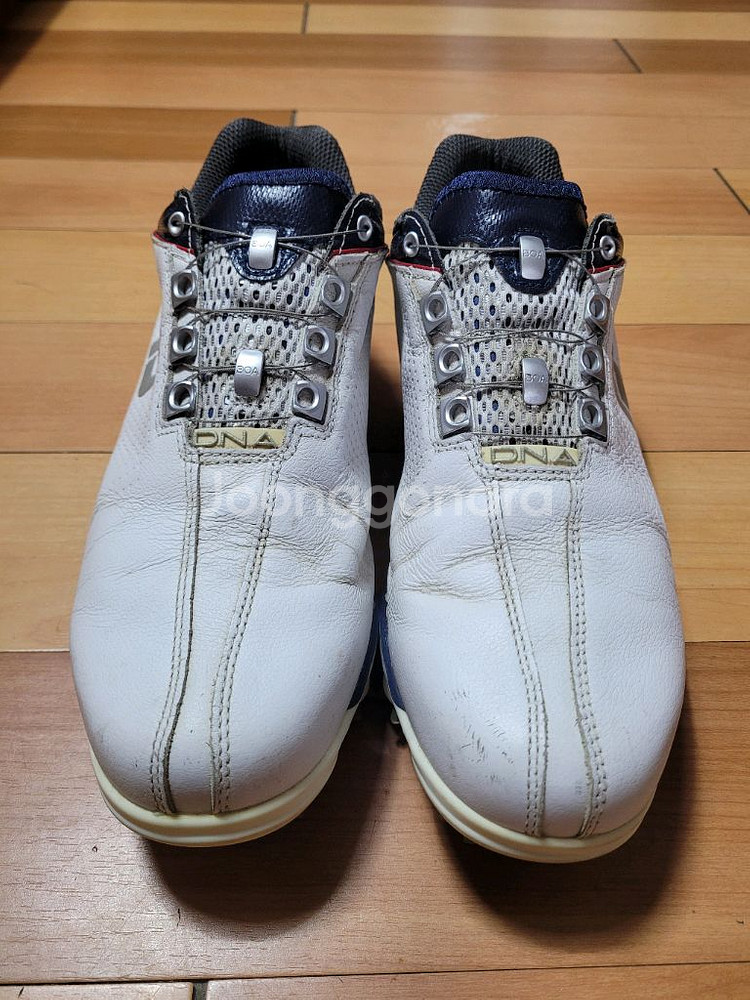 풋조이 DNA BOA 남성 골프화(250~255mm)--0
