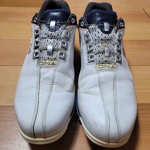 풋조이 DNA BOA 남성 골프화(250~255mm)