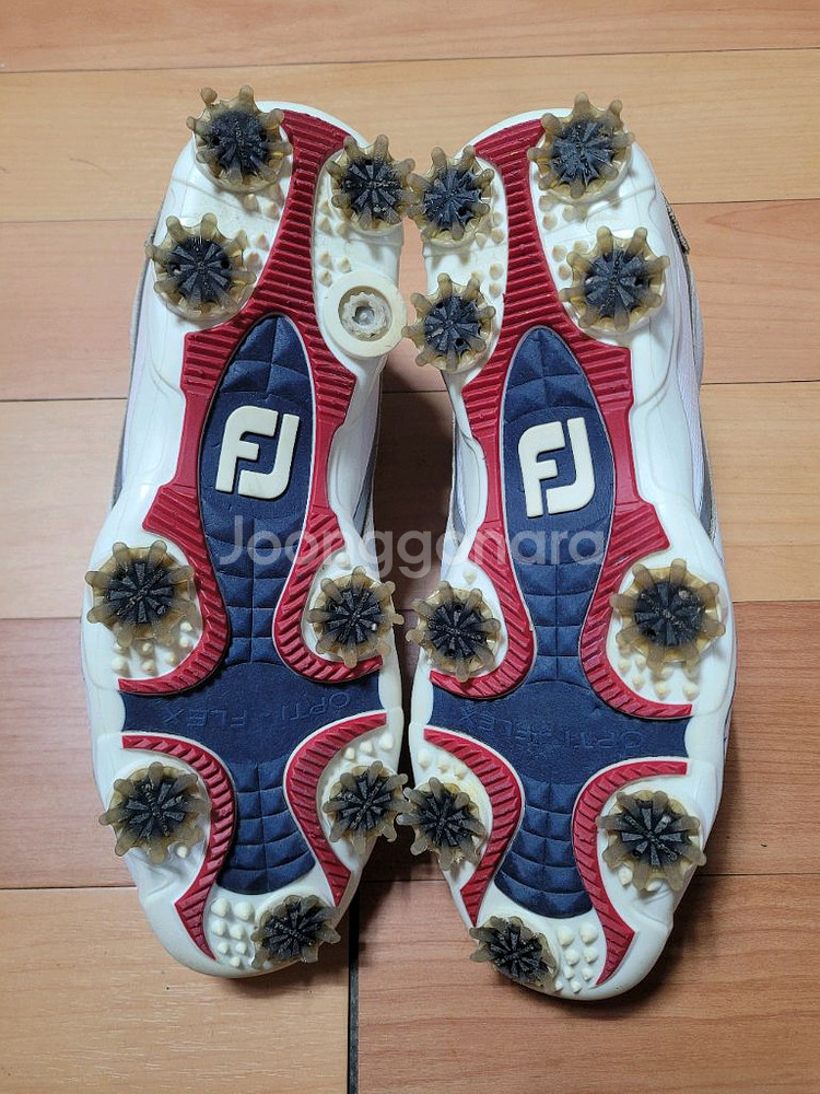 풋조이 DNA BOA 남성 골프화(250~255mm)--7