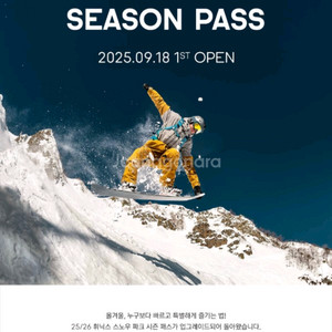 2526 휘닉스파크 컴포트 락카