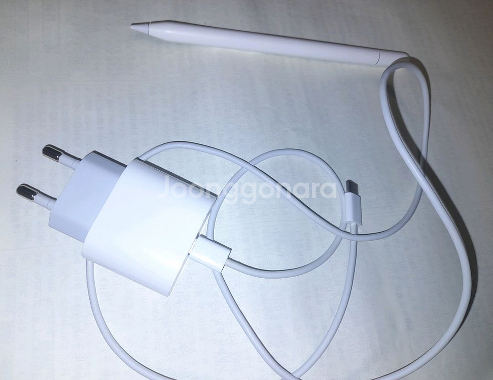 애플펜슬 USB-C + 애플 정품 충전기--0