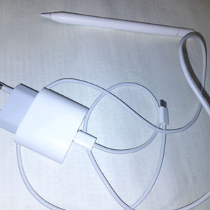 애플펜슬 USB-C + 애플 정품 충전기