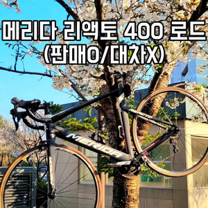메리다 리액토 400(56M/L)