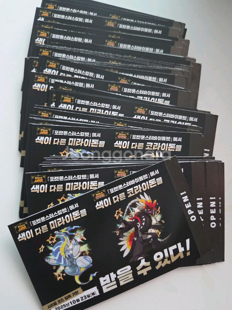 포켓몬 스칼렛 바이올렛 이로치 색이 다른 코라이돈 코드--0