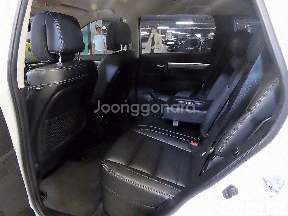 [르노코리아(삼성)]더뉴QM6 2.0 LPe RE 2W--6