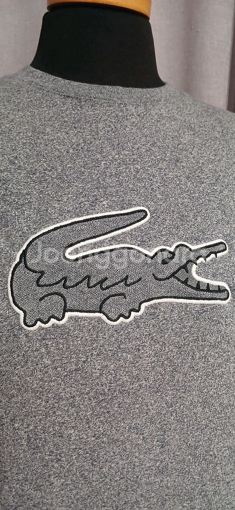 라코스테 빅크록 반팔티 90사이즈 상태굿--1