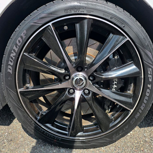 그랜저ig rays 튜익스 19인치휠+펠라6p