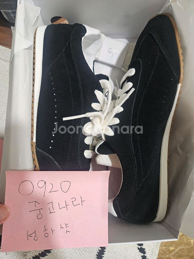 ALO 알로 선셋 스니커즈 새제품 8W--1