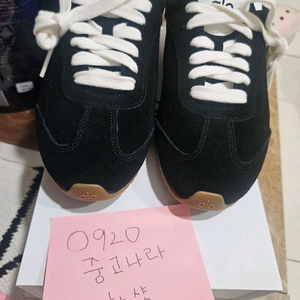 ALO 알로 선셋 스니커즈 새제품 8W