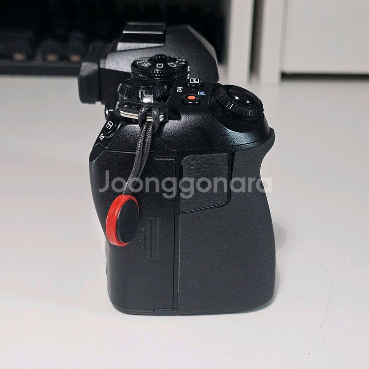 올림푸스 OM E-M1 Mark2--6