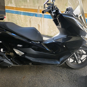 pcx 리스 승계받으실분