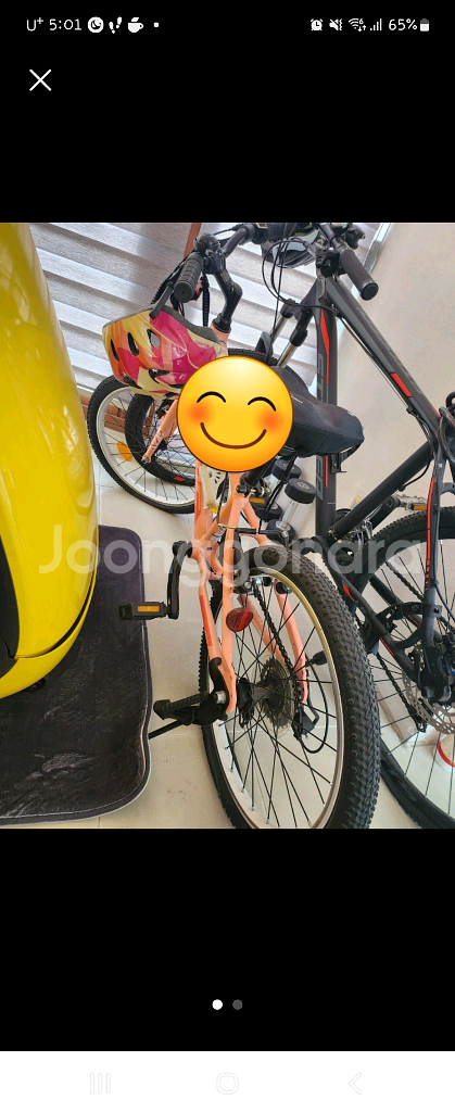 삼천리칼라스 JR 20인치--0