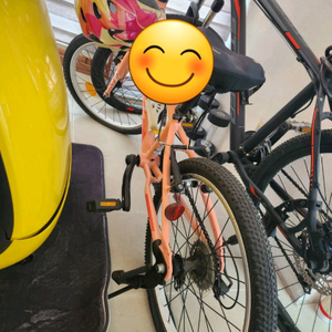 삼천리칼라스 JR 20인치