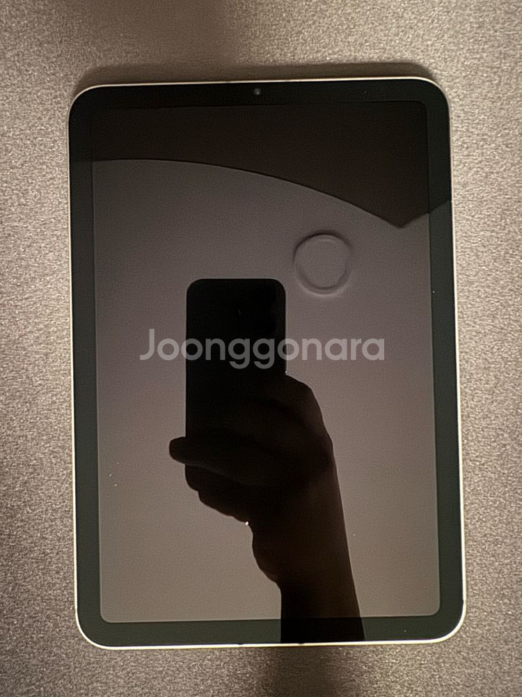 아이패드 미니 256g 셀룰러 스페이스그레이--1