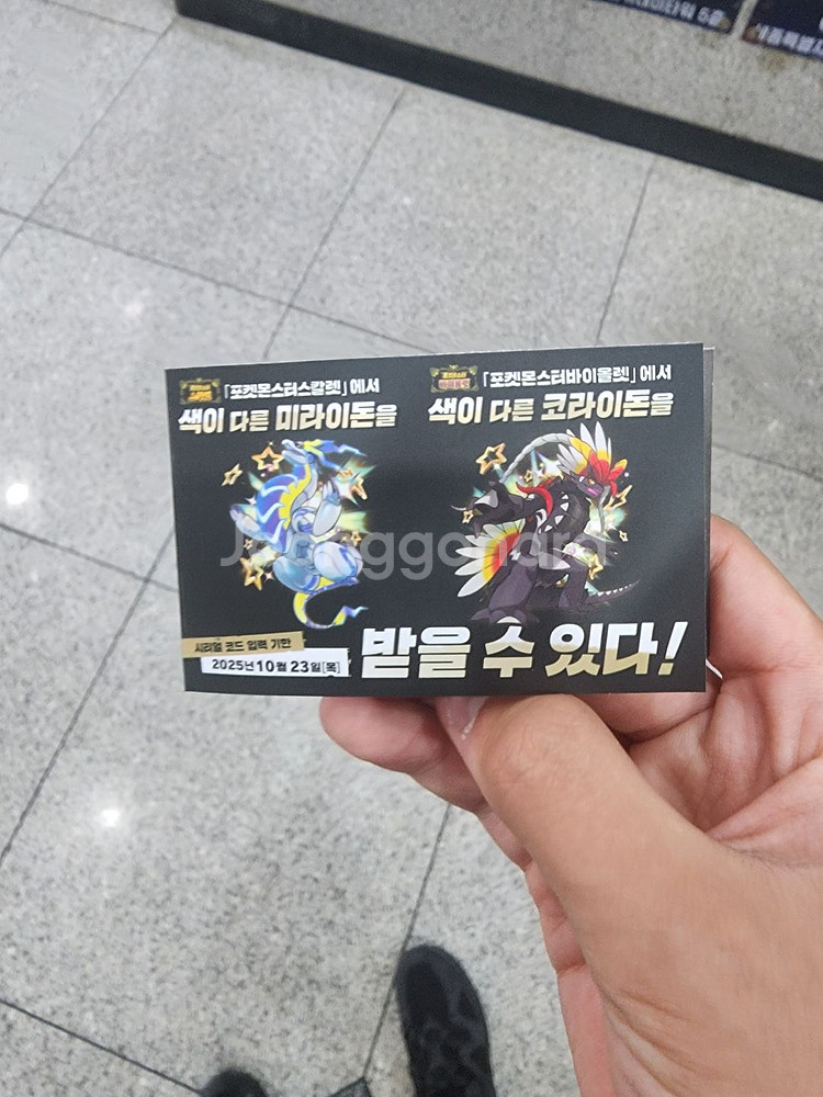 포켓몬 이로치 미라이돈,코라이돈 코드팝니다--0