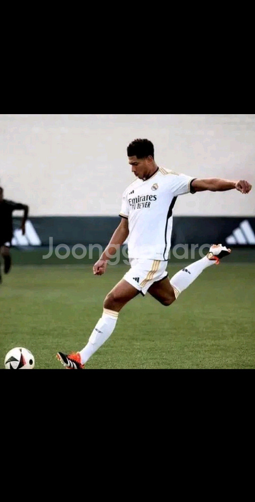 급처 (새상품) 아디다스 프레데터 엘리트 AG 270--1