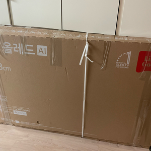 LO OLED TV 55인치
