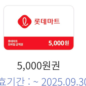롯데마트 5000원 금액권