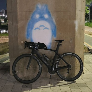 트렉 마돈 9.2 풀카본 울테그라 로드자전거