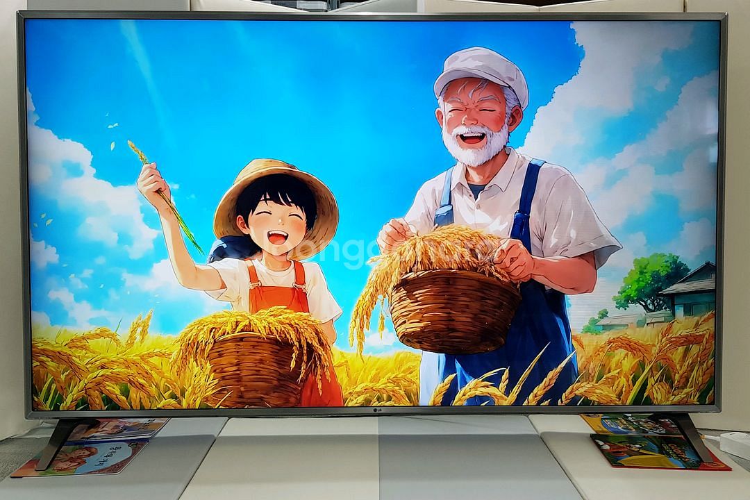LG전자 75인치 PREMIUM 고급형 4K 스마트TV--1