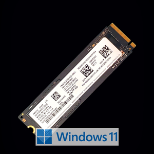 윈도우11 설치 삼성 PM9C1a 256GB SSD