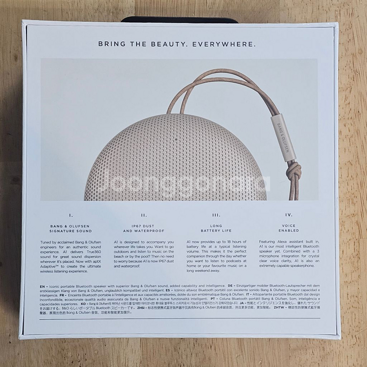 뱅앤올룹슨 BEOSOUND A1 2세대--1