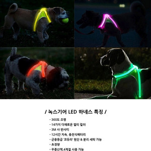 니드포펫 녹스기어(noxgear) 라이트하운드 LED