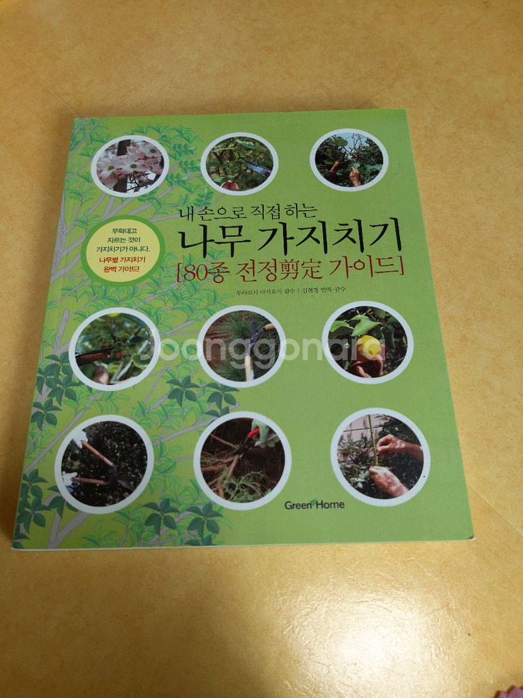 나무가지치기,건축인테리어스케치의기초,스케치응용기법책팝니--2
