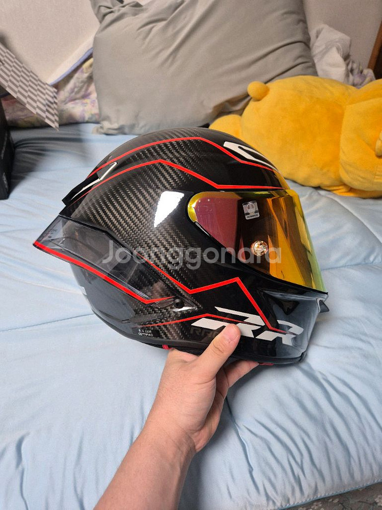 agv 피스타 유로핏 gp rr 카본레드 세나50s 팜--1