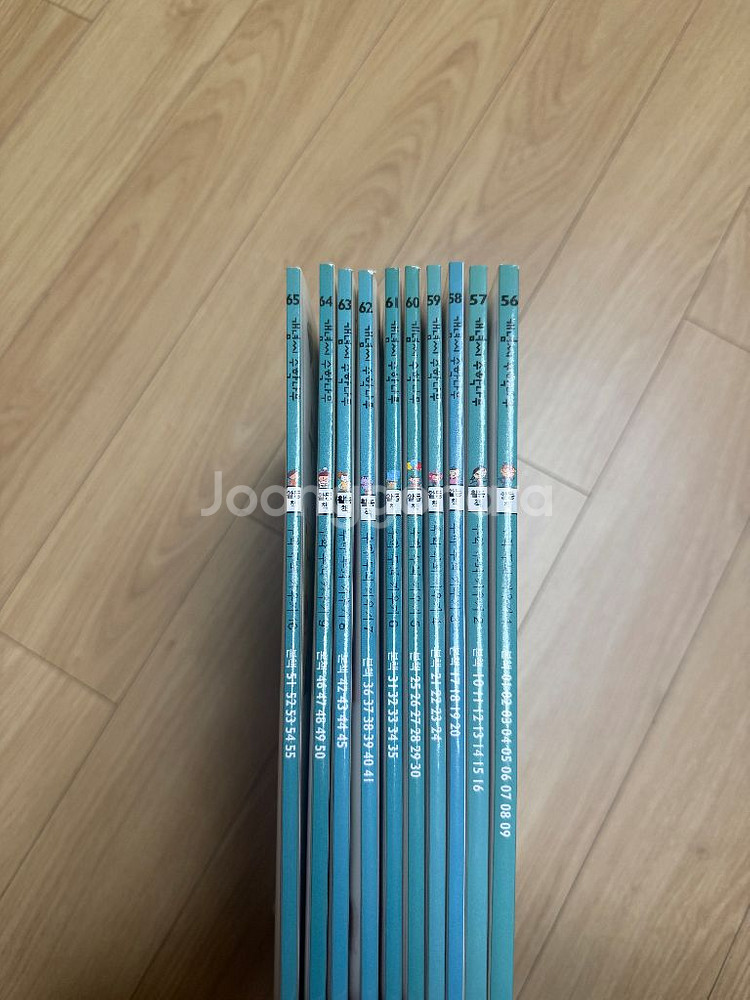 개념씨수학나무--1