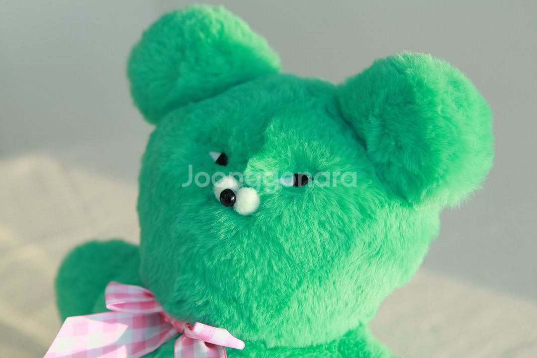 [와사비베어] 30cm 봉제인형--1