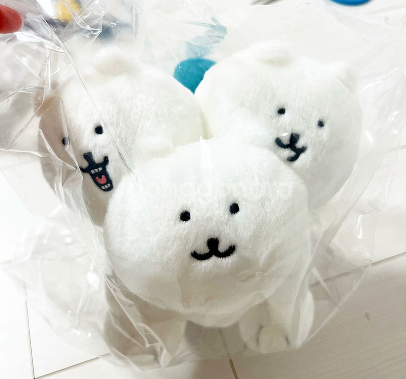 농담곰 나가노 케로베로스 누이--0