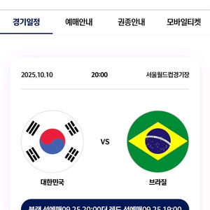 한국 vs 브라질 축구 2등석B 2연석